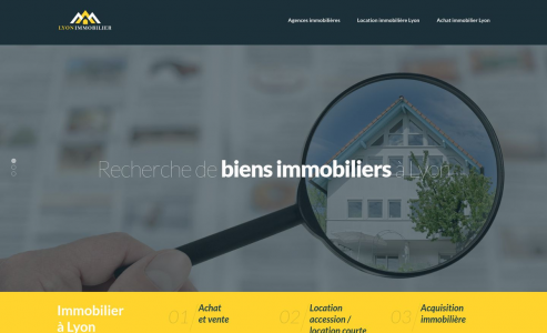 https://www.lyon-immobilier.net/